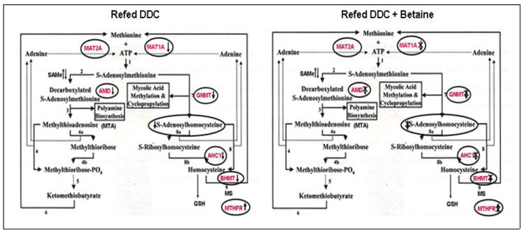 Fig 9