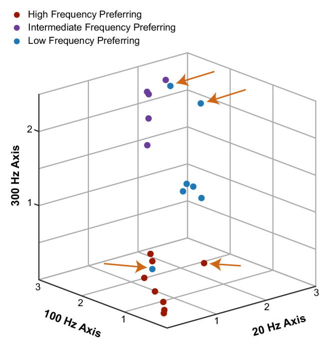 Figure 3—figure supplement 2.