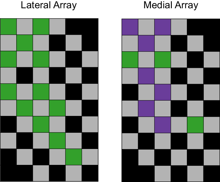 Figure 4—figure supplement 1.