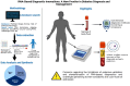 Graphical Abstract
