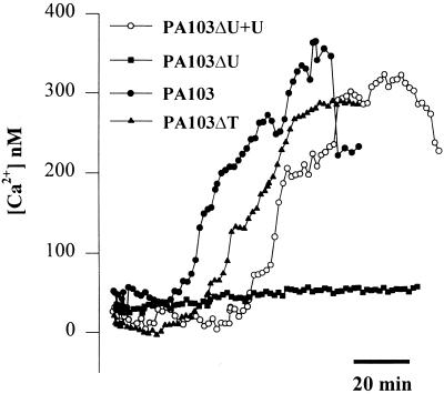 FIG. 7.