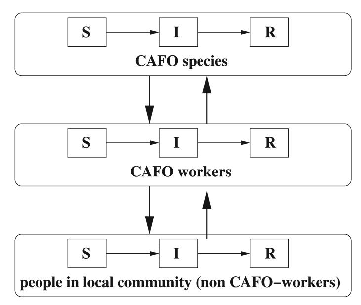 FIG. 1