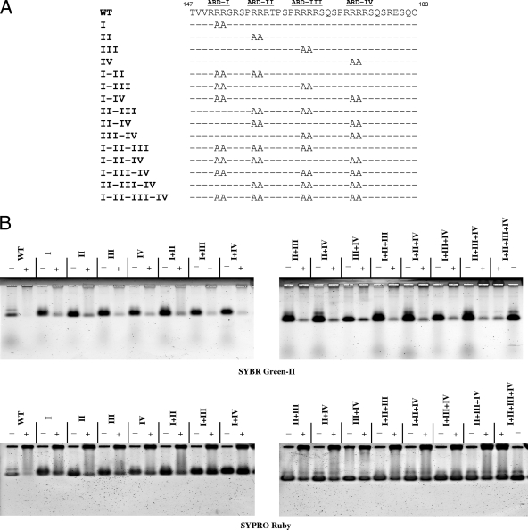 FIG. 6.