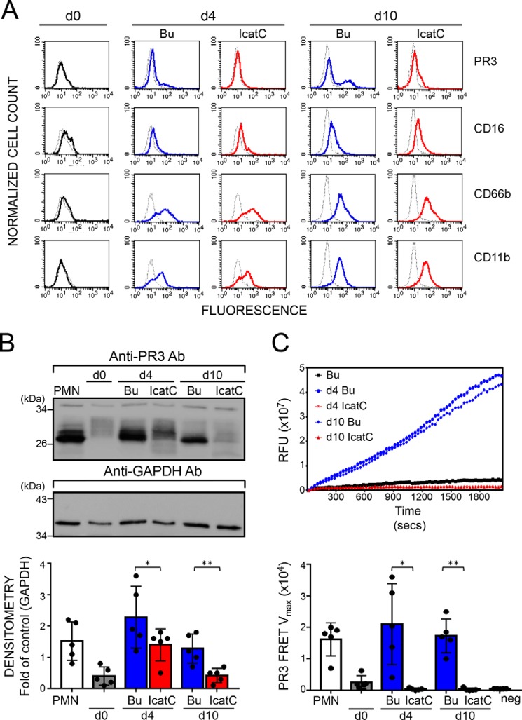 Figure 6.