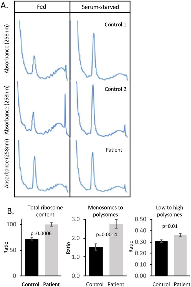 Fig 3