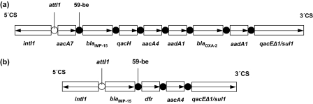 FIG. 1.