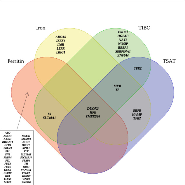Fig. 3