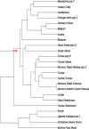 Fig. 3