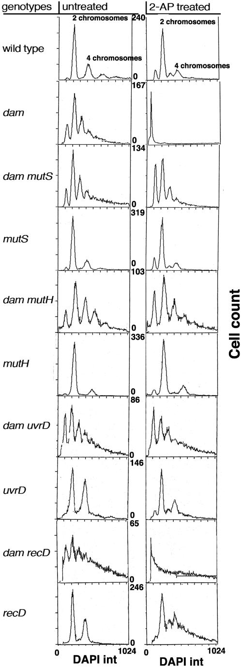 FIG. 2.