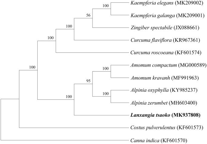 Figure 1.