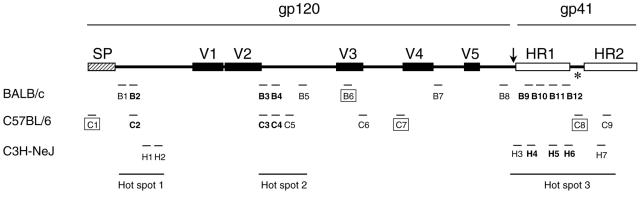 FIG. 6.