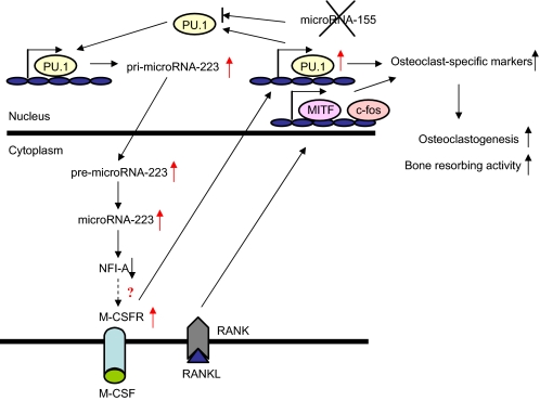 FIGURE 9.