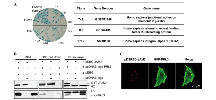 Figure 3.