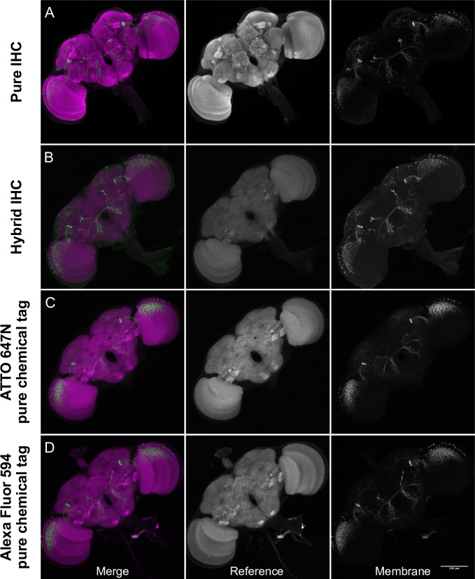 Fig 6