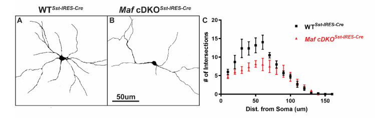 Figure 4—figure supplement 2.