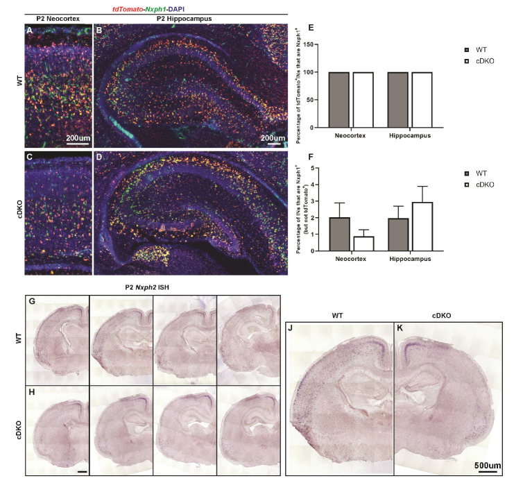 Figure 1—figure supplement 4.