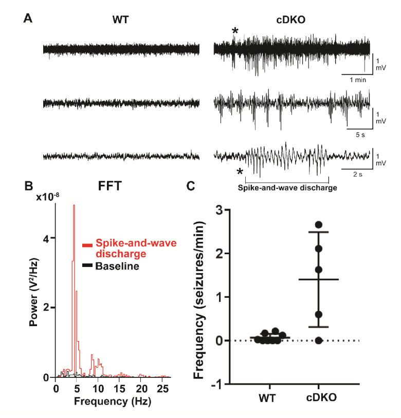 Figure 1—figure supplement 1.