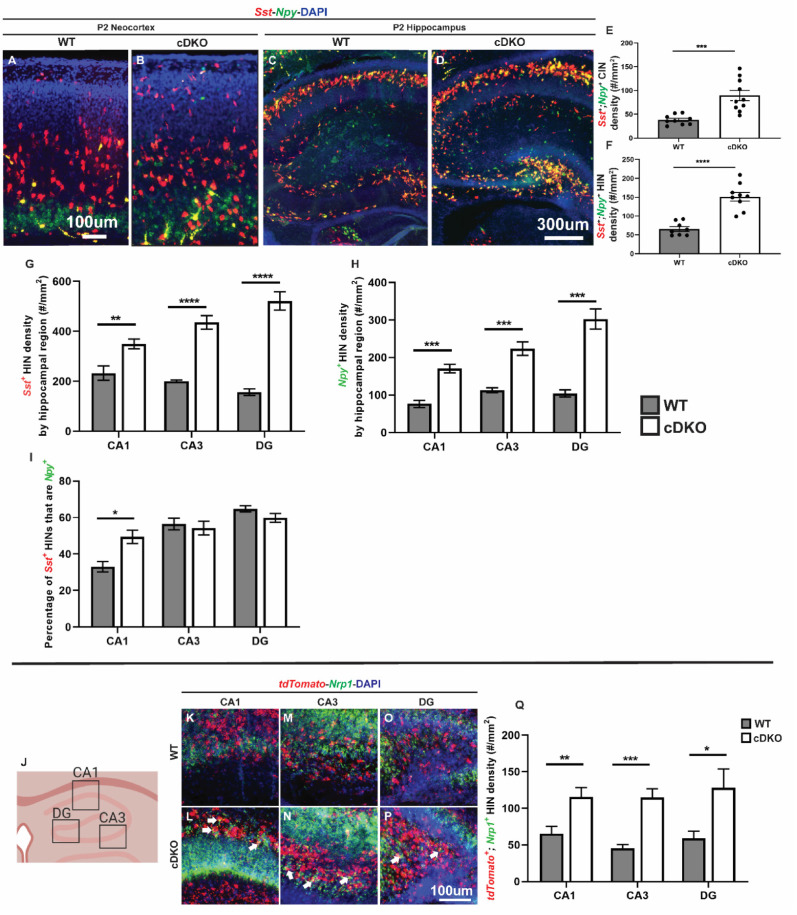 Figure 1—figure supplement 7.