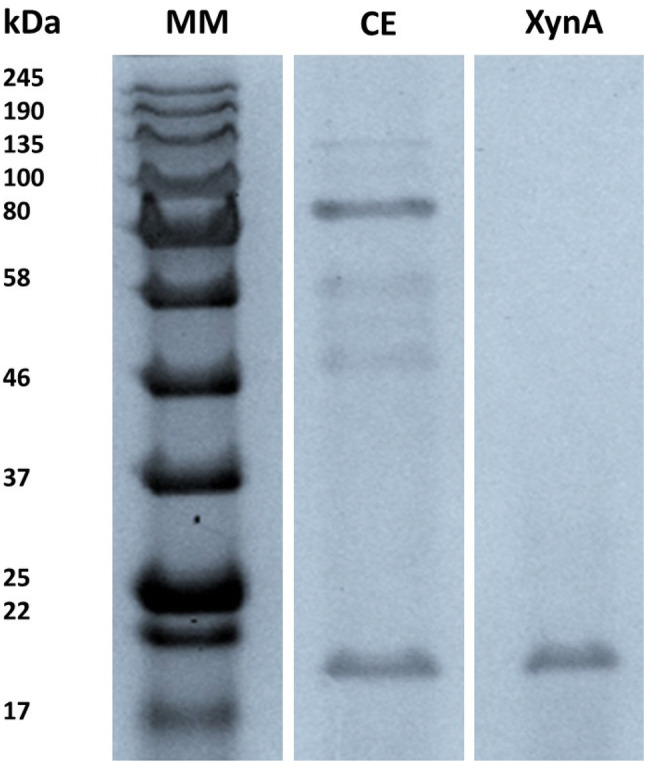 Fig. 1