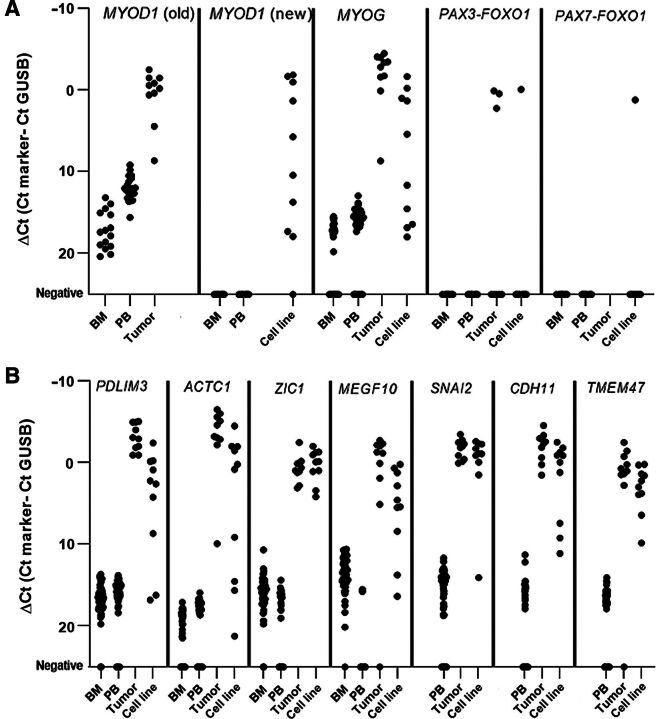 Figure 1. A, Background expression of known markers in control BM and PB, rhabdomyosarcoma (RMS) tumors, and established cell lines. “MYOD1 old design” and MYOG (BM n = 41, PB n = 47, RMS tumors n = 10), “MYOD1 new design” (BM n = 26, PB n = 26, RMS cell lines n = 10), PAX3-FOXO1 fusion gene (BM n = 17, PB n = 10, RMS tumor n = 10, RMS cell lines n = 10), and PAX7-FOXO1 (BM n = 17, PB n = 10, RMS cell lines n = 10). B, Background expression of PDLIM3, ACTC1, and ZIC1 in healthy control BM (n = 41), healthy control PB (n = 47), RMS tumors (n = 10), and RMS cell lines (n = 10). MEGF10, SNAI2, CHD11, and TMEM47 only measured in PB (n = 47), RMS tumors (n = 10), and RMS cell lines (n = 10).