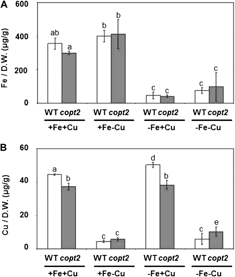 Figure 7.