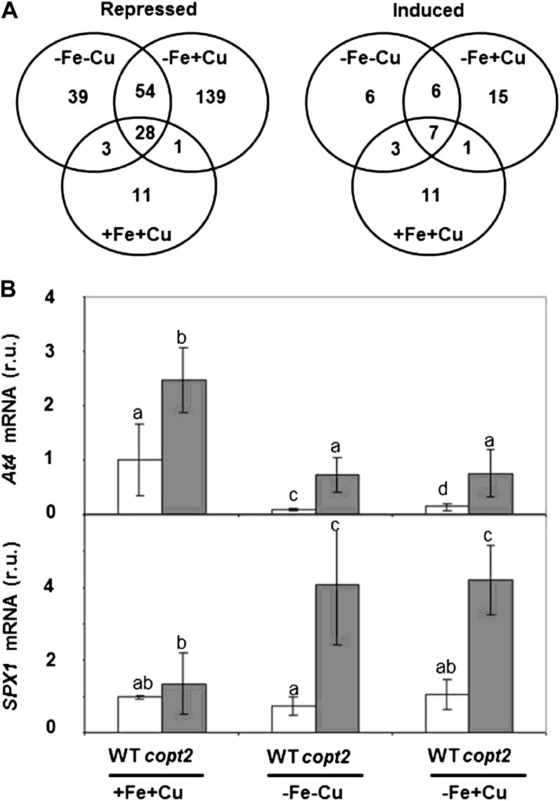 Figure 9.