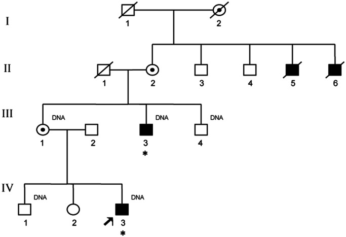 Figure 1.