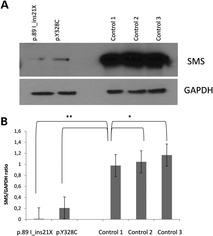 Figure 2.