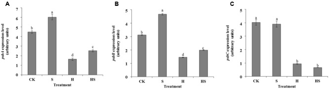 FIGURE 9