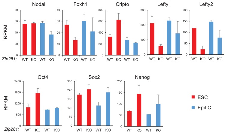 Figure 5—figure supplement 1.