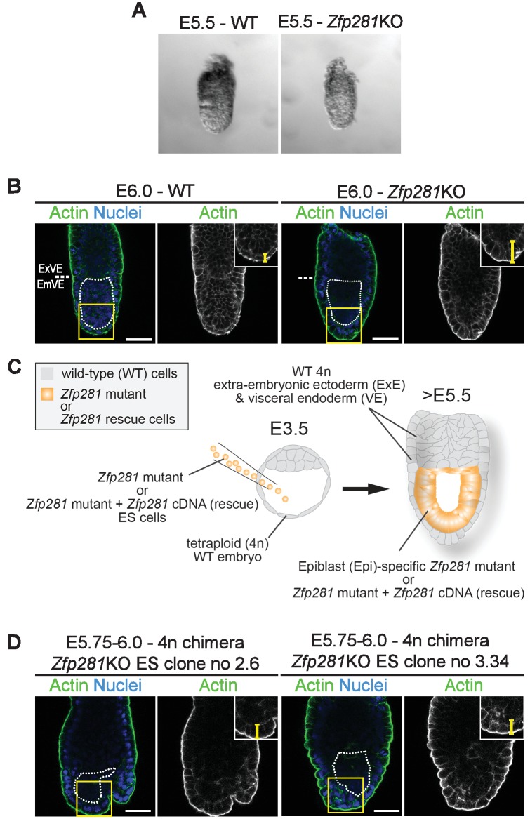 Figure 1—figure supplement 3.