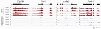 Figure 2—figure supplement 2.