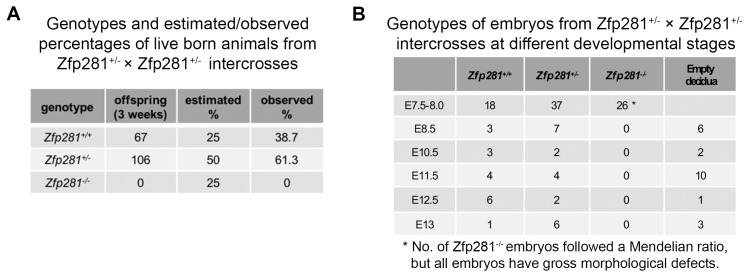 Figure 1—figure supplement 2.