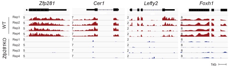 Figure 2—figure supplement 2.