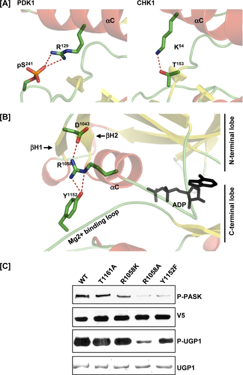 FIGURE 4.