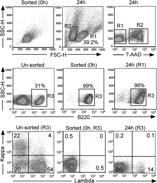 Fig 6