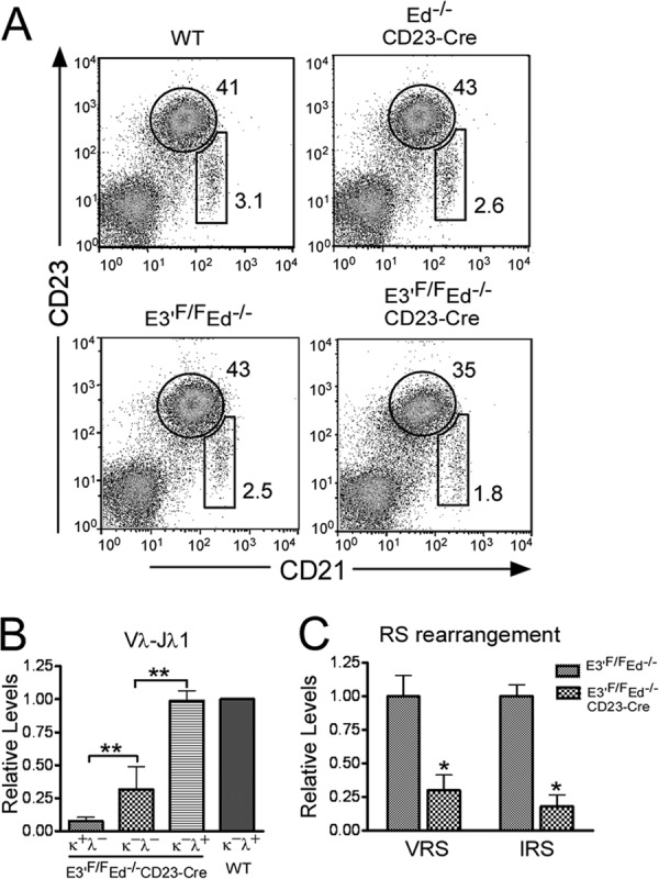 Fig 5