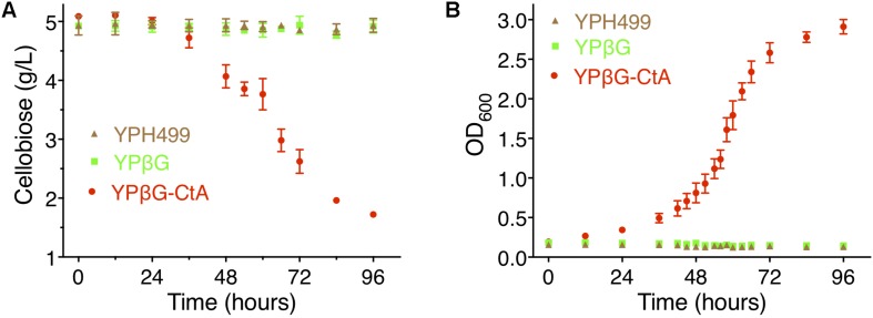 FIGURE 3