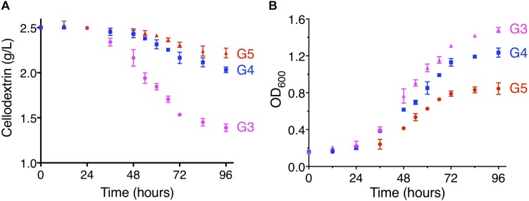 FIGURE 4