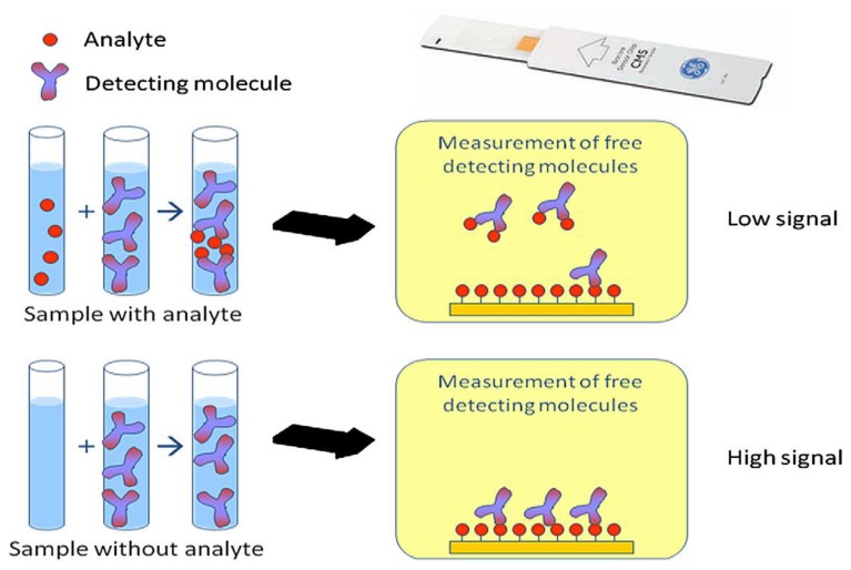 Figure 12