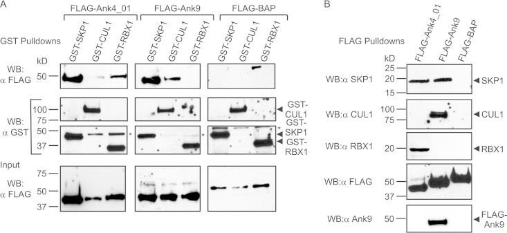 FIG 4