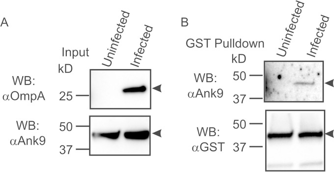 FIG 6