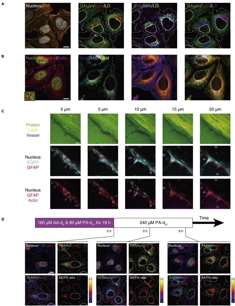 Figure 2
