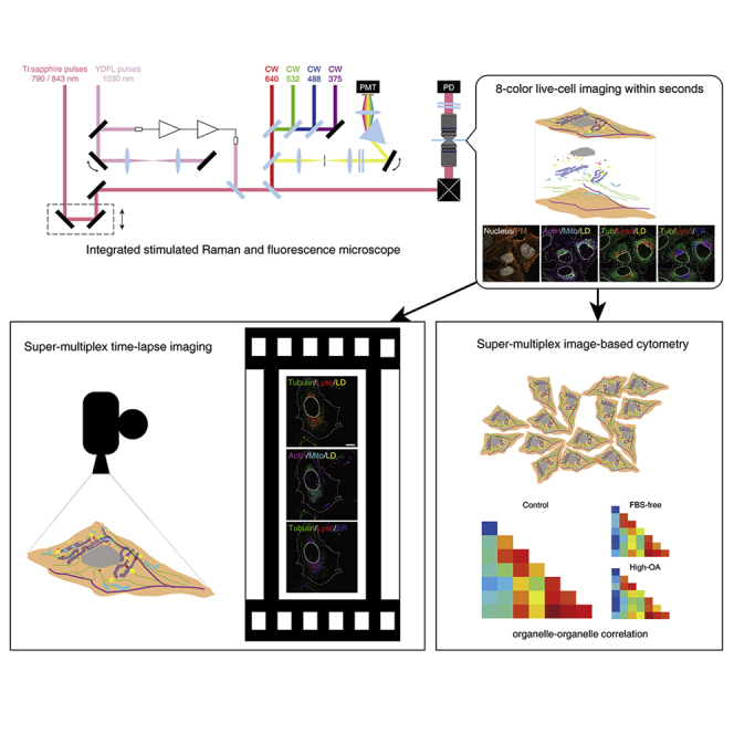 graphic file with name fx1.jpg