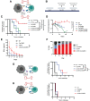 Figure 2. Costimulation through CoCAR3 enhances the sequential killing activity of sTCR+CoCAR3+ T cells in an HLA class I- and CD19-restricted manner. A, Schematic of T-cell and tumor cell interaction in cocultures. B, Timeline and schematic of serial coculture experiment (showing first three timepoints). T cells and tumor cells were cocultured every 3–4 days at an E:T ratio of 1:5 up to eight times. C, Tumor cell elimination in serial cocultures (n = 7). Marks indicate the time of coculture failure with tumor outgrowth. D, T-cell expansion in serial cocultures (n = 7). E, IFNγ ELISA of coculture supernatants collected 24 hours after each tumor challenge (n = 5). F, T-cell fractions over time during serial cocultures (n = 5). G, Schematic of tumor cell and T-cell interaction in coculture with BV173 CD19-KO cells (left). BV173 CD19-KO cell expansion during serial coculture (right). Each line represents one donor (n = 5). H, Schematic of tumor cell and T-cell interaction in coculture with BV173 B2M-KO cells (left). BV173 B2M-KO expansion during serial coculture (right). Each line represents one donor (n = 5). Statistical significance was determined by log-rank test (C, G), ANOVA (area under the curve; D), Welch t test (area under the curve; E), paired t test of day 0 versus day 14 (F), *, P < 0.05; **, P < 0.01. D–F, mean ± SD; “n” denotes the number of individual healthy donors.