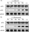 FIG. 7.