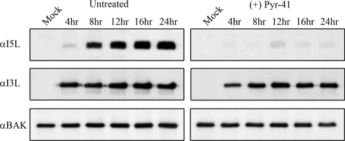 FIG. 8.