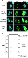 FIG. 5.