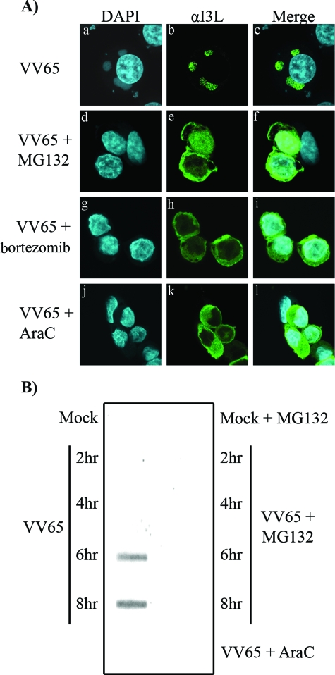 FIG. 5.