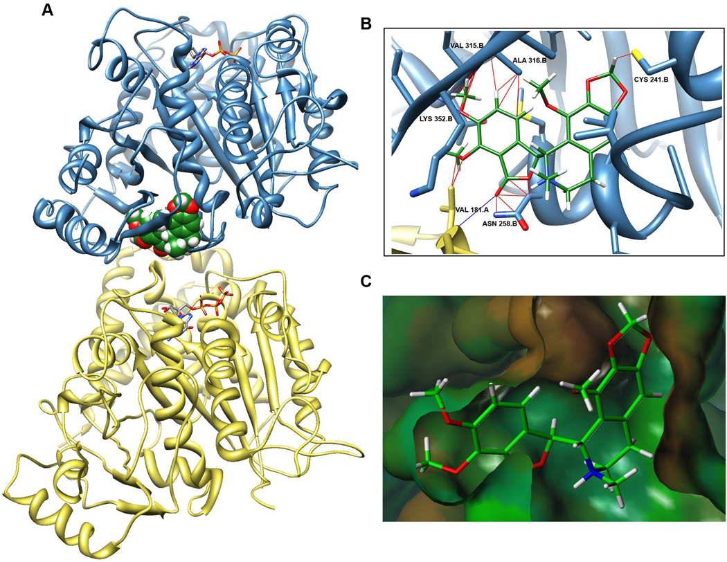 Fig. 3